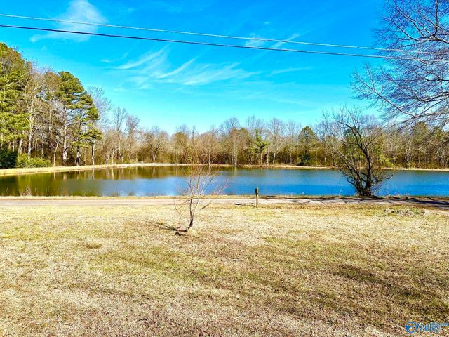 199 Twin Lakes Drive, Arab, AL 35016