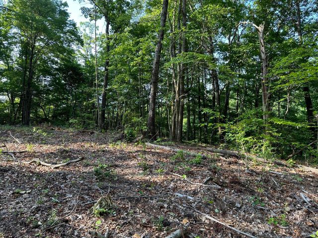 3692 Pan Gap Circle, Chattanooga, TN 37419