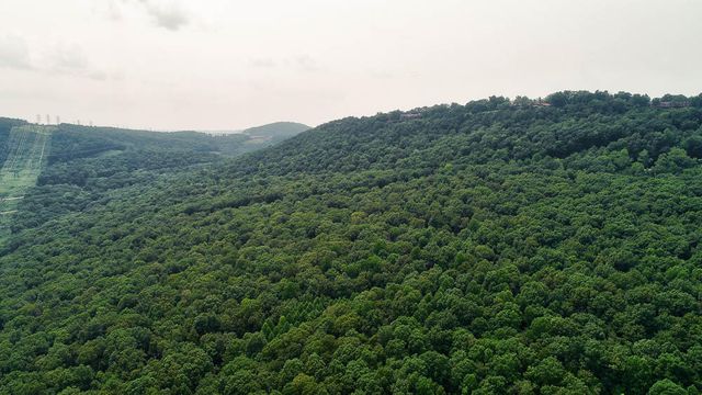 3692 Pan Gap Circle, Chattanooga, TN 37419