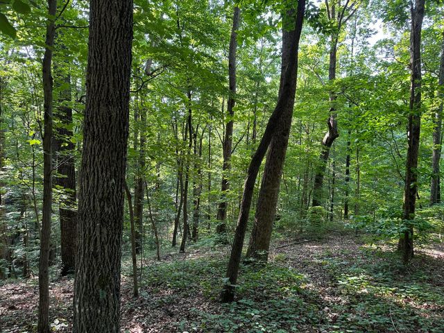 3692 Pan Gap Circle, Chattanooga, TN 37419