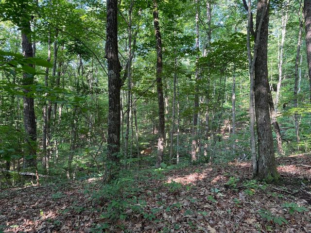 3692 Pan Gap Circle, Chattanooga, TN 37419