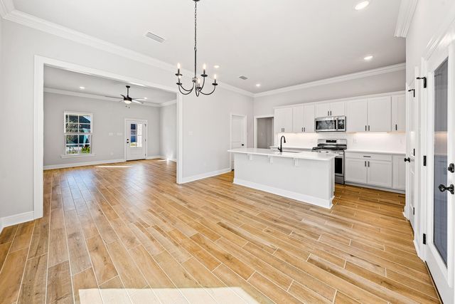 55 Hydrangea Boulevard, Freeport, FL 32439