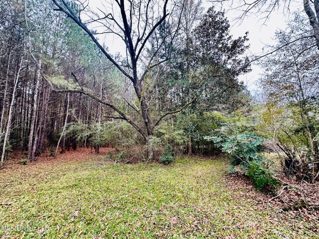 399 James Boyakin Barnett Road, Magee, MS 39111