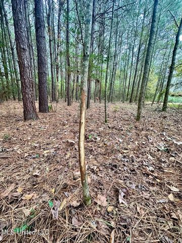 399 James Boyakin Barnett Road, Magee, MS 39111