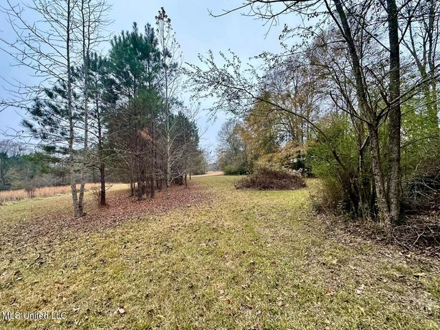 399 James Boyakin Barnett Road, Magee, MS 39111