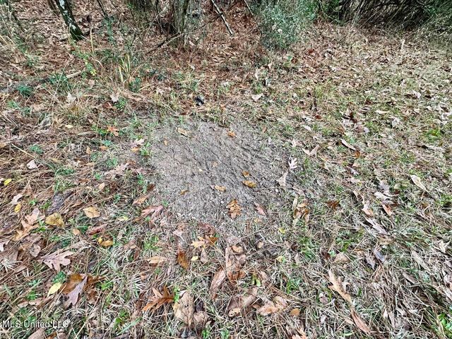 399 James Boyakin Barnett Road, Magee, MS 39111