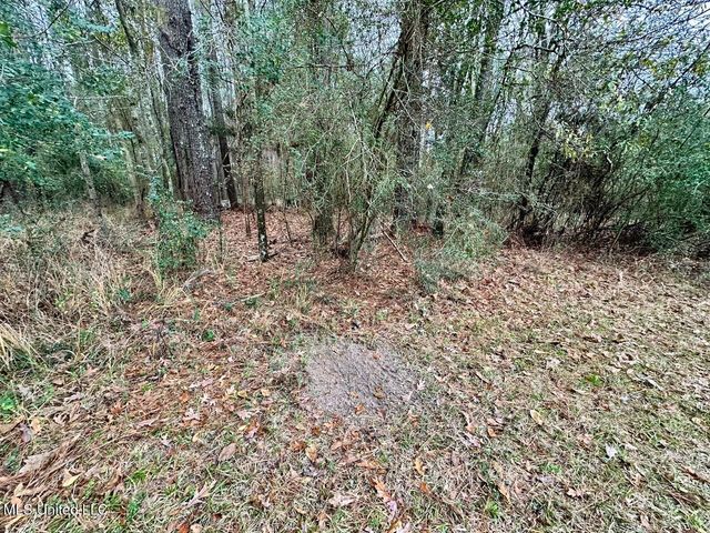 399 James Boyakin Barnett Road, Magee, MS 39111