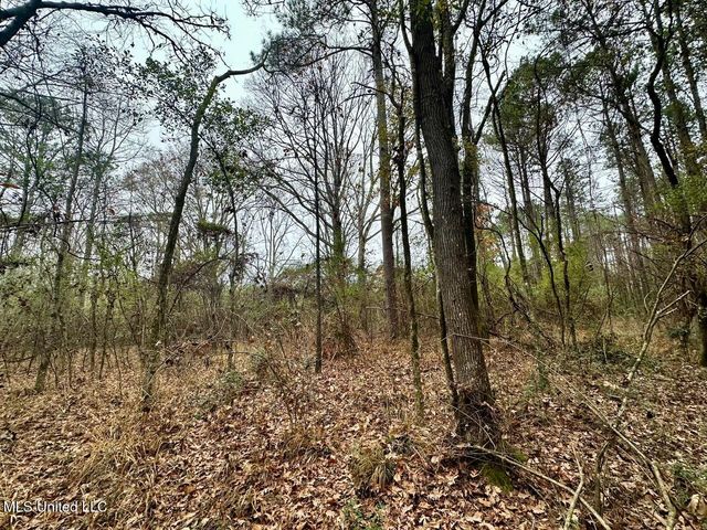 399 James Boyakin Barnett Road, Magee, MS 39111