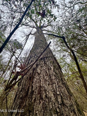 399 James Boyakin Barnett Road, Magee, MS 39111