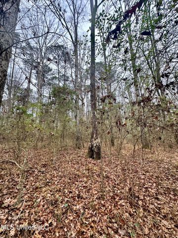 399 James Boyakin Barnett Road, Magee, MS 39111