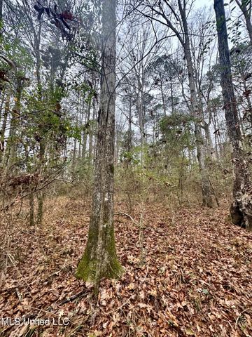 399 James Boyakin Barnett Road, Magee, MS 39111