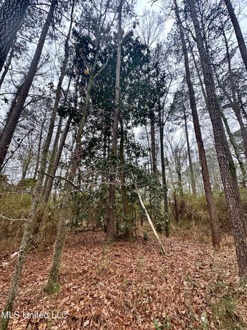 399 James Boyakin Barnett Road, Magee, MS 39111