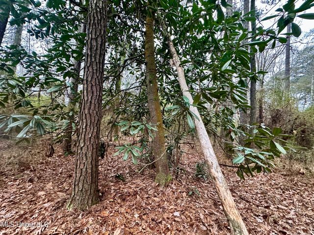 399 James Boyakin Barnett Road, Magee, MS 39111