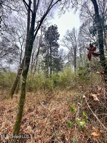 399 James Boyakin Barnett Road, Magee, MS 39111