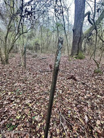 399 James Boyakin Barnett Road, Magee, MS 39111