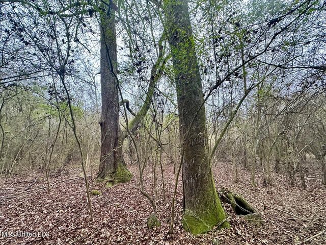 399 James Boyakin Barnett Road, Magee, MS 39111