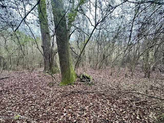 399 James Boyakin Barnett Road, Magee, MS 39111