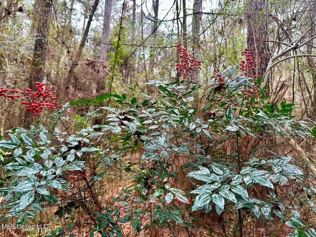 399 James Boyakin Barnett Road, Magee, MS 39111