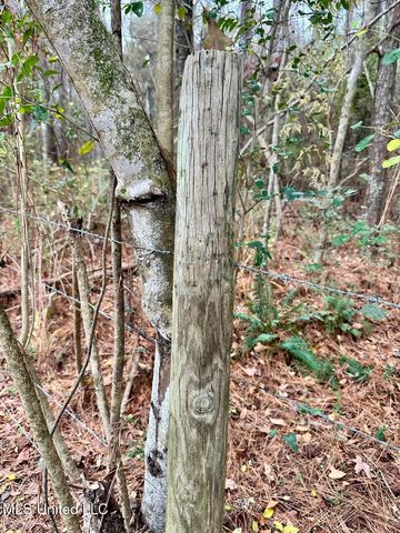 399 James Boyakin Barnett Road, Magee, MS 39111