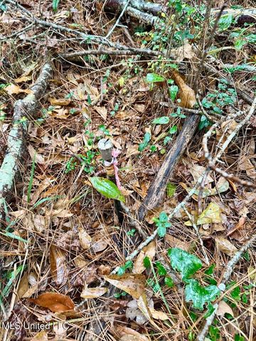 399 James Boyakin Barnett Road, Magee, MS 39111