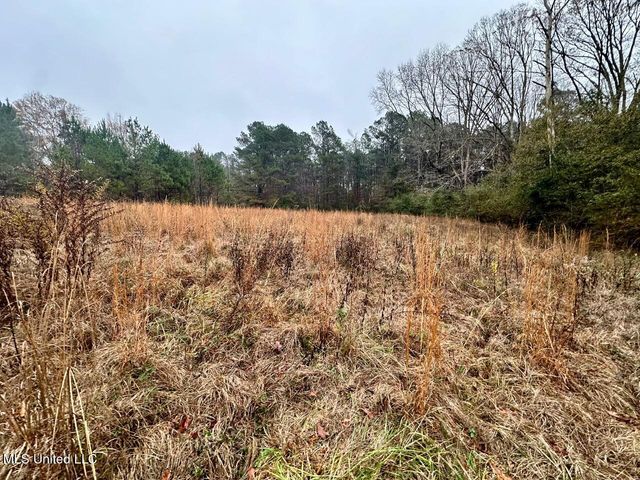 399 James Boyakin Barnett Road, Magee, MS 39111