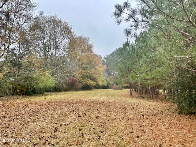 399 James Boyakin Barnett Road, Magee, MS 39111