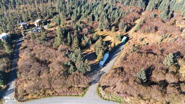31885 Whiskey Gulch Street, Anchor Point, AK 99556