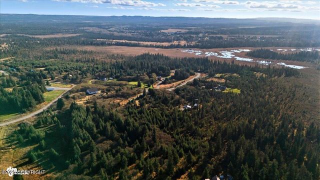 31885 Whiskey Gulch Street, Anchor Point, AK 99556