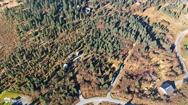 31885 Whiskey Gulch Street, Anchor Point, AK 99556