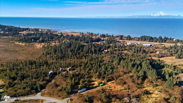 31885 Whiskey Gulch Street, Anchor Point, AK 99556