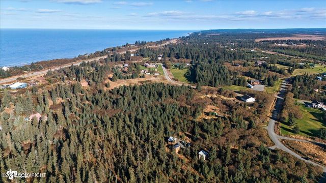 31885 Whiskey Gulch Street, Anchor Point, AK 99556