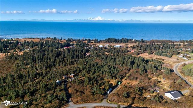 31885 Whiskey Gulch Street, Anchor Point, AK 99556