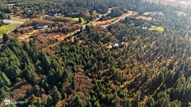 31885 Whiskey Gulch Street, Anchor Point, AK 99556