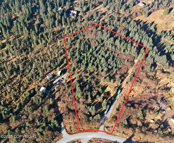 31885 Whiskey Gulch Street, Anchor Point, AK 99556