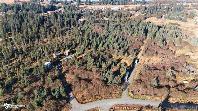 31885 Whiskey Gulch Street, Anchor Point, AK 99556