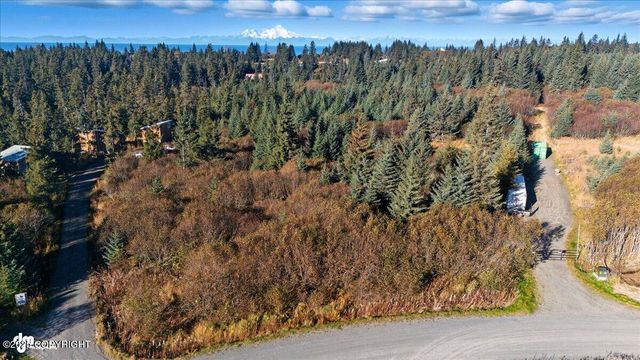 31885 Whiskey Gulch Street, Anchor Point, AK 99556