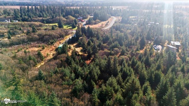 31885 Whiskey Gulch Street, Anchor Point, AK 99556