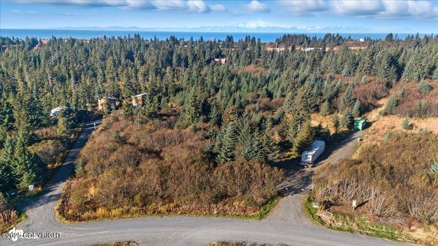 31885 Whiskey Gulch Street, Anchor Point, AK 99556