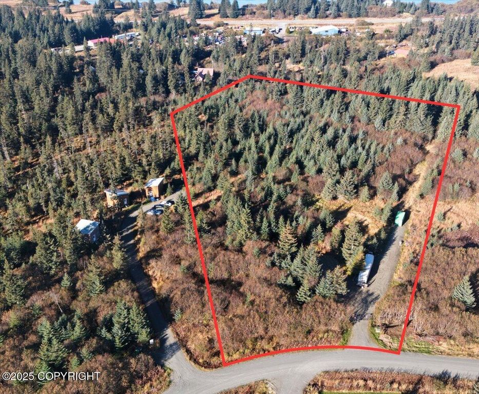 31885 Whiskey Gulch Street, Anchor Point, AK 99556