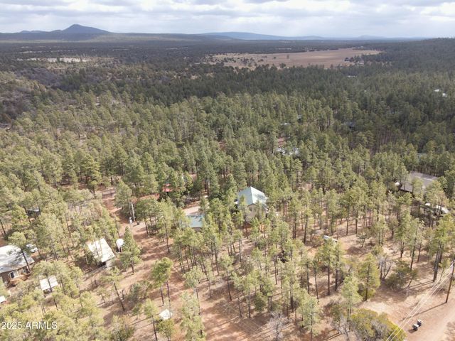 2745 S HIDDEN OAKS Drive, Show Low, AZ 85901