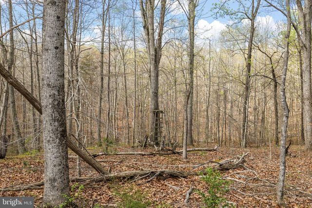 9092 CALEDON RD, King George, VA 22485