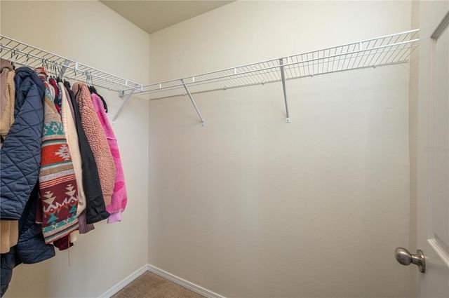 4953 WHITE SANDERLING COURT, Tampa, FL 33619