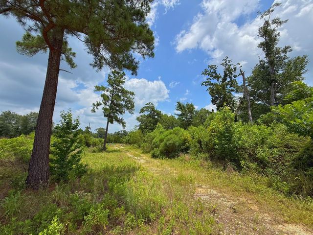 13 ac Cr 2012, Centerville, TX 75833