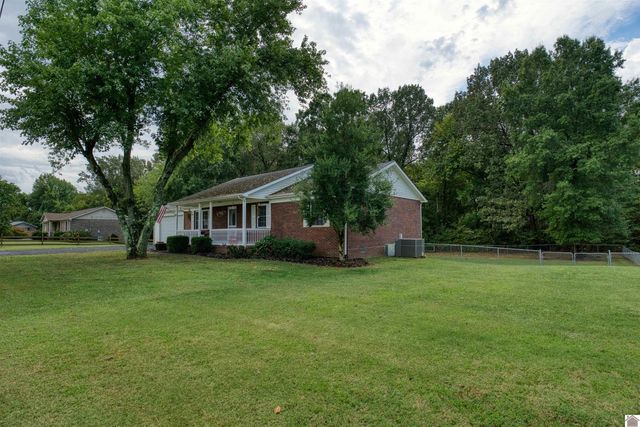 228 Loretta Dr, Ledbetter, KY 42058