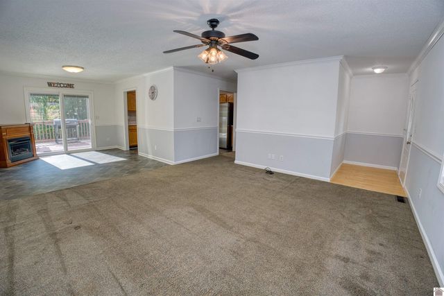 228 Loretta Dr, Ledbetter, KY 42058