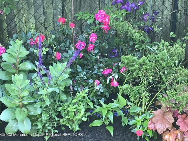 1715 J Street, West Belmar, NJ 07719