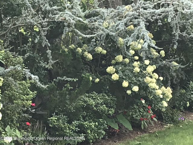 1715 J Street, West Belmar, NJ 07719