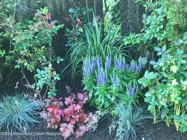 1715 J Street, West Belmar, NJ 07719