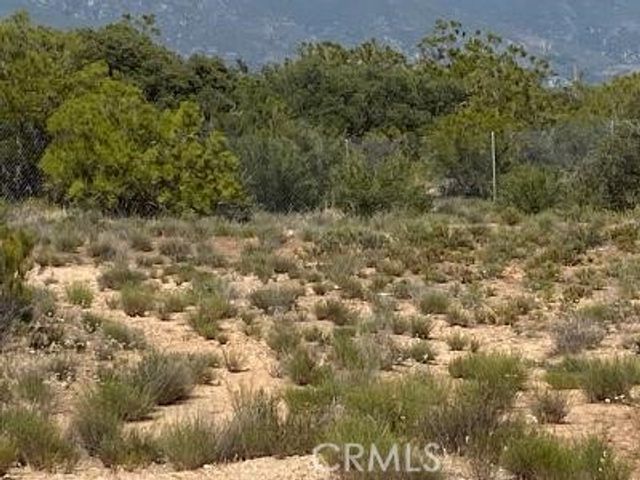 19 Higgins Road, Anza, CA 92539