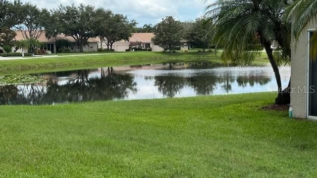8228 SIMPSON FALLS COURT, Sarasota, FL 34243
